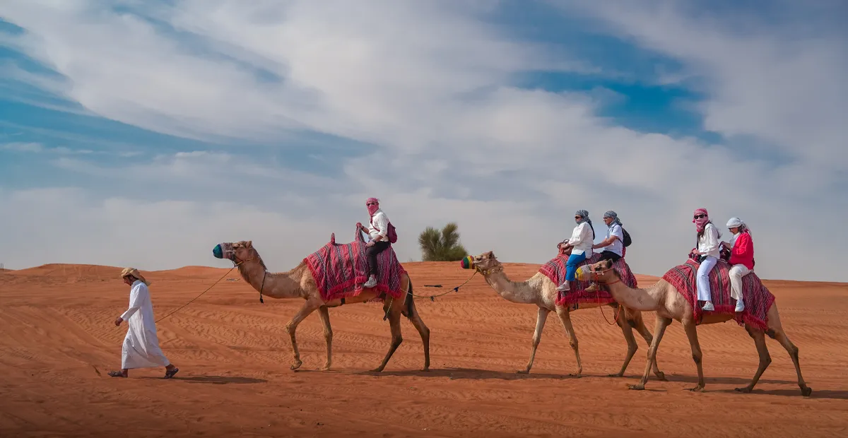 Camel ride in the desert