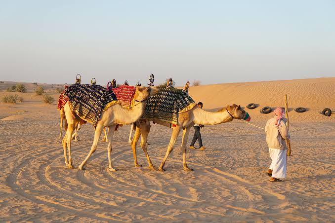 UAE desert landscape