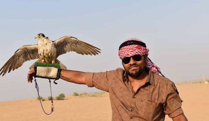 Desert activity