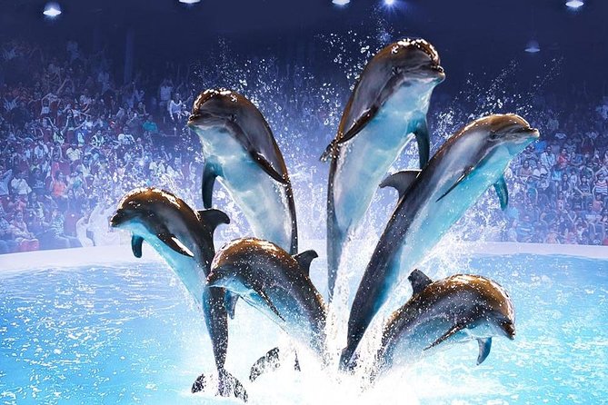 Dubai Dolphinarium
