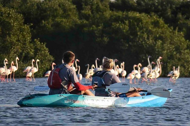 Al Zorah Natural Reserve in Ajman