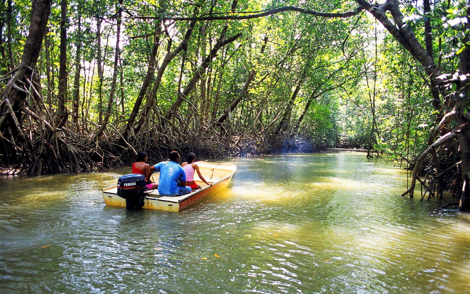 Mangrove Marine National Park in Abu Dhabi